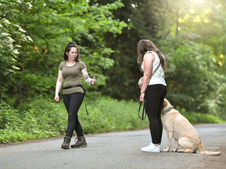 Zwei Frauen bei einem Spaziergang im Wald mit einem Hund an der Leine.