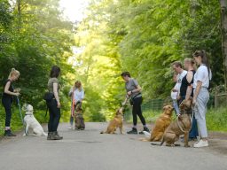 Gruppe von Menschen mit Hunden auf einem Waldweg, einige stehen, andere sitzen.